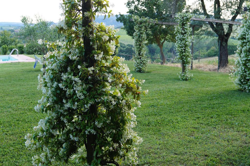 Tenuta Di Argiano A Montepulciano キアンチャーノ・テルメ エクステリア 写真